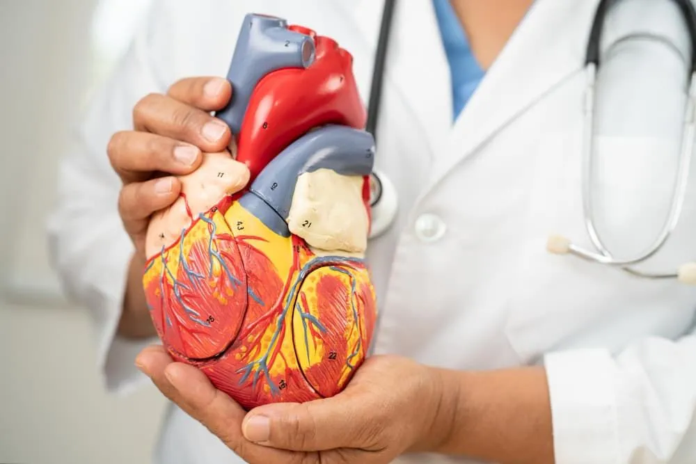 Kolesterol yüksekliği (Hiperlipidemi)